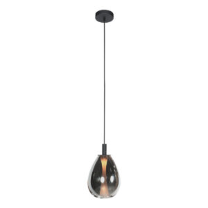 steinhauer-hanglamp-glimsy-zwart-glasmetaal-ø22cm-led-4199zw-1