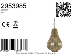 light&living-hanglamp-micha-goud-metaal-e27-2953985-8a
