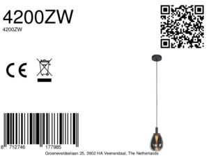 steinhauer-hanglamp-glimsy-zwart-glasmetaal-ø15cm-led-4200zw-8a