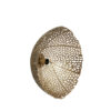 light&living-wandlamp-sinula-goud-metaal-e27-3125085-1