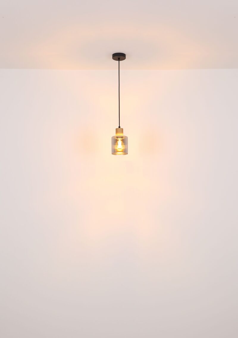 globo-hanglamp-aleidis-zwart-glas-ø12cm-e27-15768-1