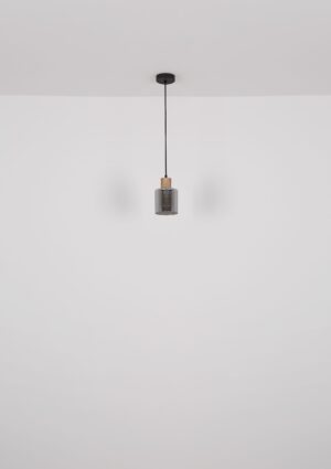 globo-hanglamp-aleidis-zwart-glas-ø12cm-e27-15768-1