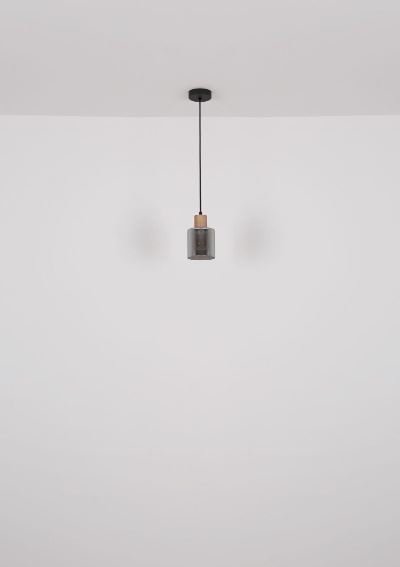 globo-hanglamp-aleidis-zwart-glas-ø12cm-e27-15768-1