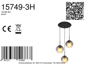 globo-hanglamp-barry-zwart-glas-ø45cm-e27-15749-3h-1