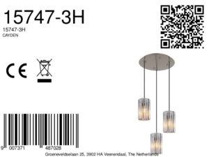 globo-hanglamp-cayden-staal-glas-ø39cm-e27-15747-3h-1