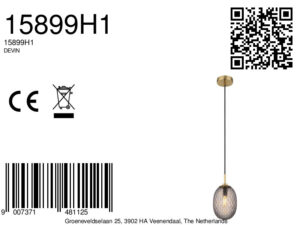 globo-hanglamp-devin-goud-glas-ø15cm-e14-15899h1-1