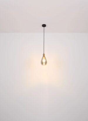 globo-hanglamp-fanni-zwart-glas-ø15cm-e27-15563h-1