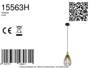 globo-hanglamp-fanni-zwart-glas-ø15cm-e27-15563h-1