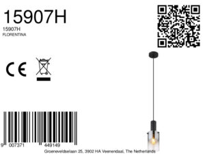 globo-hanglamp-florentina-zwart-glas-ø13cm-e27-15907h-1