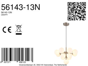 globo-hanglamp-grappy-staal-glas-ø56cm-g9-56143-13n-1