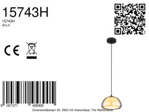 globo-hanglamp-jella-zwart-glas-ø25cm-e14-15743h-1