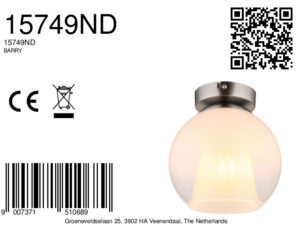 globo-plafonniere-barry-staal-glas-ø18cm-e27-15749nd-1