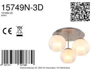 globo-plafonniere-barry-staal-glas-ø41cm-e27-15749n-3d-1