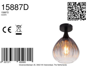 globo-plafonniere-olsen-zwart-glas-ø20cm-e27-15887d-1