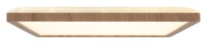 globo-plafonniere-sapana-naturel-kunststof-plafonnière-led-41563-18ww-1