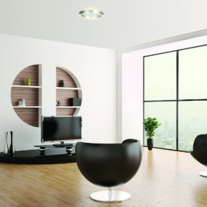 compacteplafondlampinstaalmetdubbeleledsteinhauerringlux-2