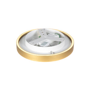 plafondlampingoudkleurmetmodernvlakontwerpsteinhauerringlux-12