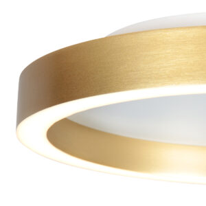 plafondlampingoudkleurmetmodernvlakontwerpsteinhauerringlux--18