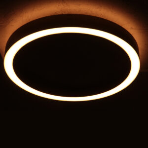 plafondlampvangeborsteldstaalmetledringsteinhauerringlux--11