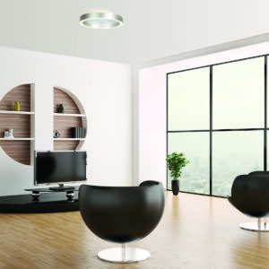 plafondlampvangeborsteldstaalmetledringsteinhauerringlux-1