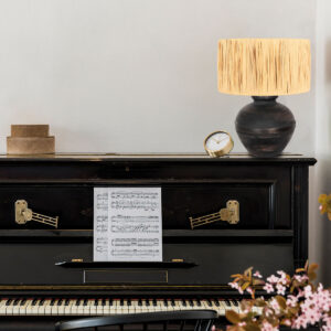 annelighting-tafellamp-lyons-zwart-grashout-ø40cm-e27-3746zw-2