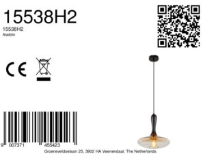 globo-hanglamp-aladdin-zwart-glas-ø33cm-e27-15538h2-8a