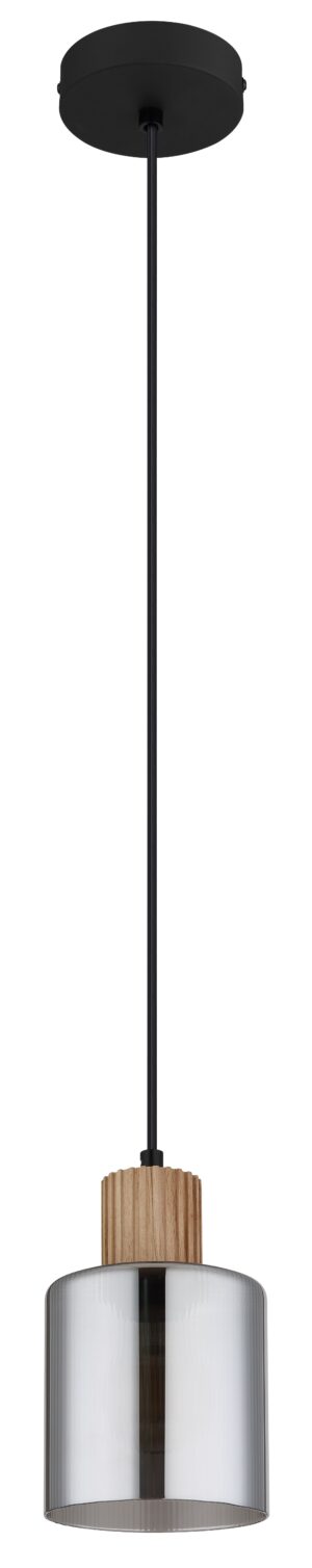 globo-hanglamp-aleidis-zwart-glas-ø12cm-e27-15768-1