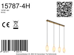 globo-hanglamp-barcley-messing-glas-groteeettafellamp-e14-15787-4h-8a
