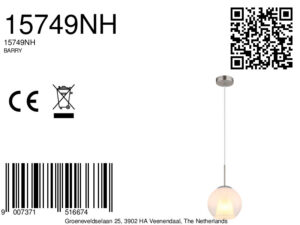 globo-hanglamp-barry-staal-glas-ø20cm-e27-15749nh-8a