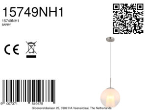 globo-hanglamp-barry-staal-glas-ø25cm-e27-15749nh1-8a