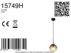 globo-hanglamp-barry-zwart-glas-ø20cm-e27-15749h-8a