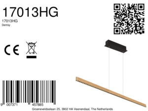 globo-hanglamp-dentsy-naturel-metaal-groteeettafellamp-led-17013hg-8a