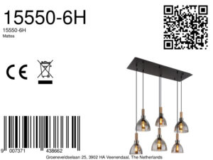 globo-hanglamp-mattea-zwart-glas-groteeettafellamp-led_e27-15550-6h-8a