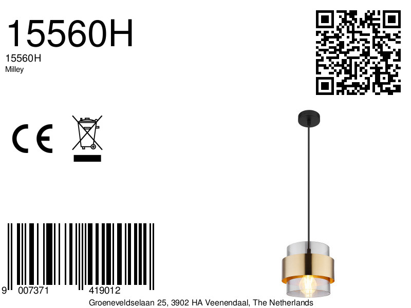 globo-hanglamp-milley-goud-glas-ø18cm-e27-15560h-8a