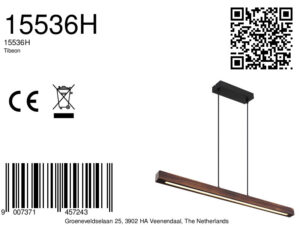 globo-hanglamp-tibeon-naturel-metaal-groteeettafellamp-led-15536h-8a