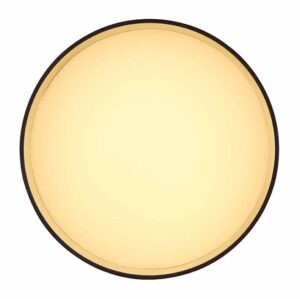 globo-plafonniere-jenny-zwart-aluminium-ø14cm-led-12016b-1