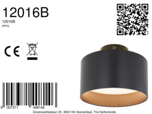 globo-plafonniere-jenny-zwart-aluminium-ø14cm-led-12016b-8a