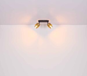 globo-plafonniere-milley-messingzwart-glas-ø50cm-e27-15560-3d-3