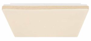 globo-plafonniere-ully-wit-metaal-led-48025wsh-1