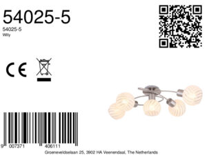globo-plafonniere-willy-nikkel-metaal-e27-54025-5-8a