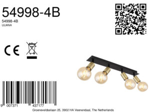 globo-spot-liliana-brons-glas-opbouwspot-e27-54998-4b-8a