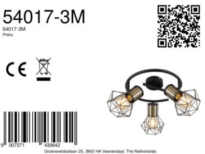 globo-spot-priska-zwart-metaal-ø29cm-e27-54017-3m-8a