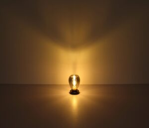 globo-tafellamp-fanni-zwart-glas-ø15cm-e27-15563t-3