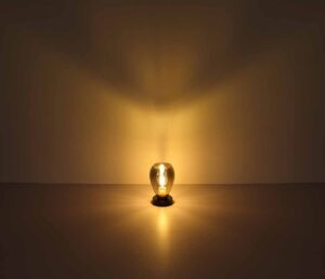 globo-vloerlamp-fanni-zwart-glassmokeglas-kleurglas-lamp-e27-15563s-4