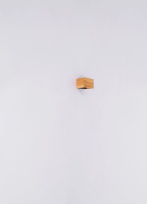 globo-wandlamp-alina-naturel-hout-led-15553w1-6