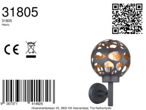 globo-wandlamp-hilario-antraciet-metaal-led_e27-31805-8a