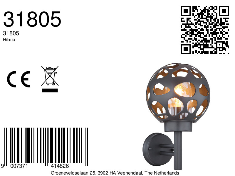globo-wandlamp-hilario-antraciet-metaal-led_e27-31805-8a