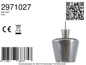 light&living-hanglamp-myles-transparant-glassmokeglas-ø25cm-e27-2971027-8a