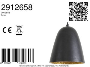 light&living-hanglamp-sumeri-zwart-metaal-ø18cm-e27-2912658-8a