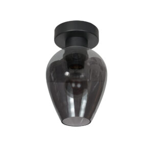 steinhauer-plafonniere-bloeba-zwart-glasmetaal-ø15cm-e27-4372zw-1